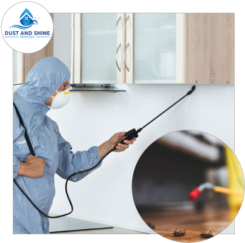 Pest Control Services Geelong